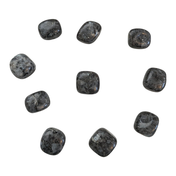 Larvikite Tumblestone - Protection Stone - Compassion - Grounding - Norwegian Gemstone