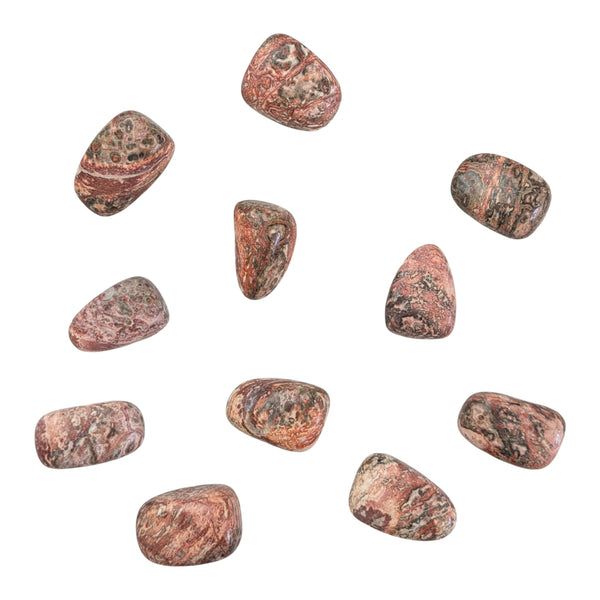 Leopard Skin Jasper Tumblestone