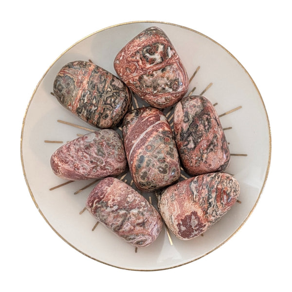 Leopard Skin Jasper Tumblestone