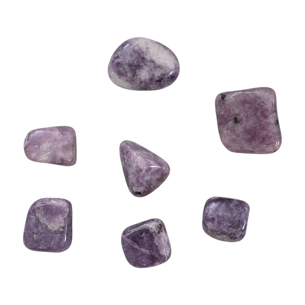 Lepidolite (Light) Crystal Tumblestone - Peace Stone - UK Crystal Seller - Genuine Gemstones - Ethically Sourced - Self Care