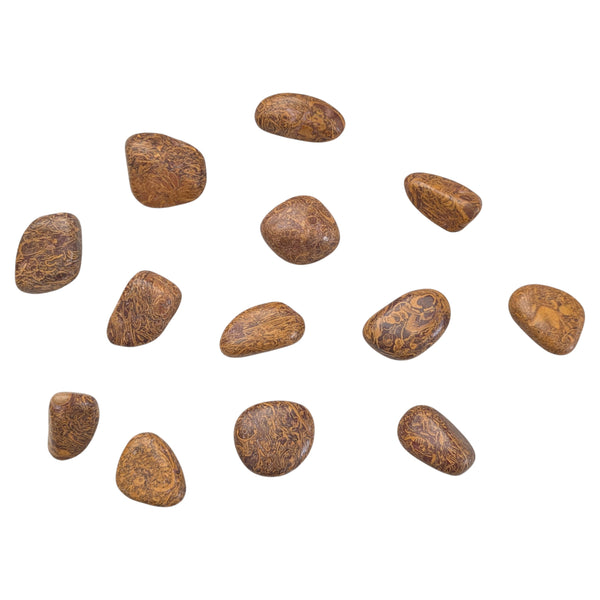 Mariam (Miriam) Tumblestone - Calligraphy Stone - Alchemist's Stone - Fossil Stone