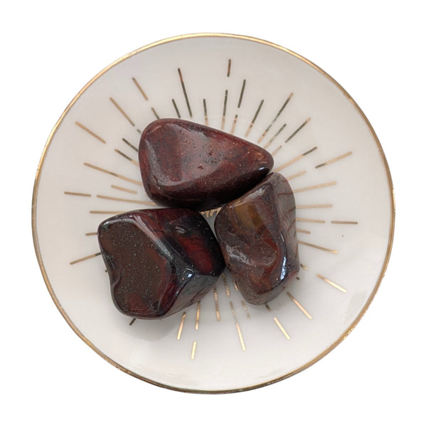 Mary Ellen Stromatolite Tumblestone - Realigns Energies - Creates Balance - Fossil Stone