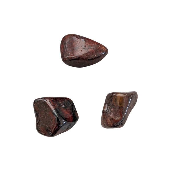 Mary Ellen Stromatolite Tumblestone - Realigns Energies - Creates Balance - Fossil Stone