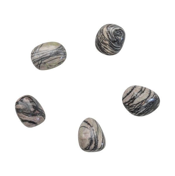 Net (Spider Web) Jasper Tumblestone - The Master of the Unconscious Mind Stone - Stone for Scorpio