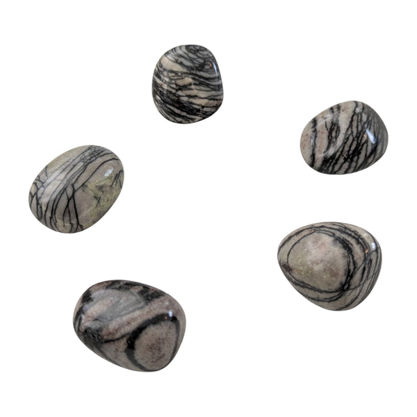 Net (Spider Web) Jasper Tumblestone - The Master of the Unconscious Mind Stone - Stone for Scorpio
