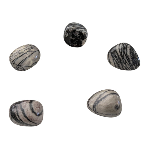 Net (Spider Web) Jasper Tumblestone - The Master of the Unconscious Mind Stone - Stone for Scorpio