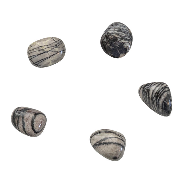 Net (Spider Web) Jasper Tumblestone - The Master of the Unconscious Mind Stone - Stone for Scorpio
