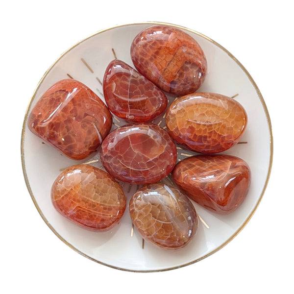 Mexican Fire Agate Tumblestone - Snakeskin Carnelian - Fire Carnelian - Stone of Awakening