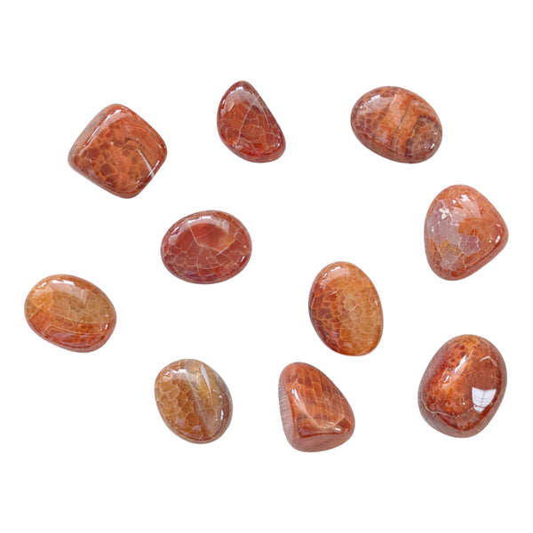 Mexican Fire Agate Tumblestone - Snakeskin Carnelian - Fire Carnelian - Stone of Awakening