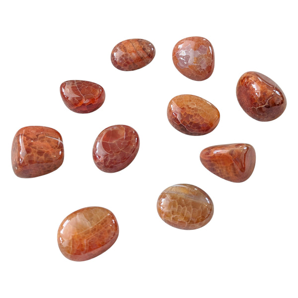Mexican Fire Agate Tumblestone - Snakeskin Carnelian - Fire Carnelian - Stone of Awakening