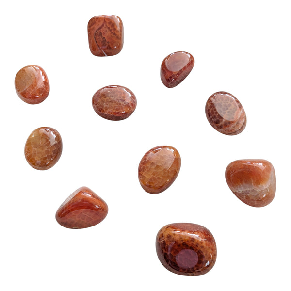 Mexican Fire Agate Tumblestone - Snakeskin Carnelian - Fire Carnelian - Stone of Awakening
