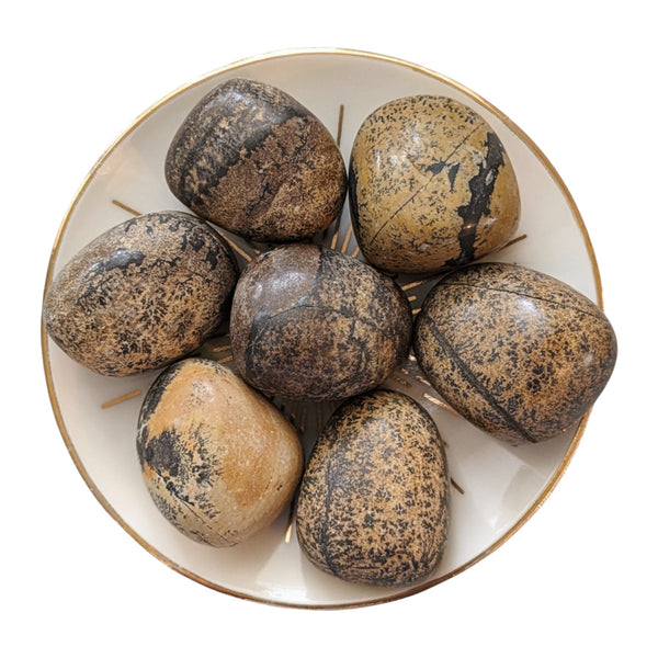 Natures Paintbrush Tumblestone - Paintbrush Jasper - Comfort Stone - Meditation Tool - Gentle Energies