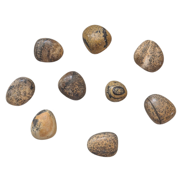 Natures Paintbrush Tumblestone - Paintbrush Jasper - Comfort Stone - Meditation Tool - Gentle Energies
