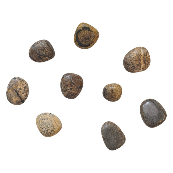 Natures Paintbrush Tumblestone - Paintbrush Jasper - Comfort Stone - Meditation Tool - Gentle Energies