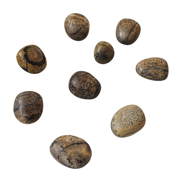 Natures Paintbrush Tumblestone - Paintbrush Jasper - Comfort Stone - Meditation Tool - Gentle Energies