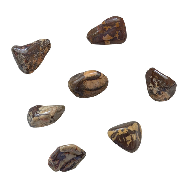 Nguni Jasper Tumblestone - A Stone of Contrasts - Root Chakra - African Gemstones