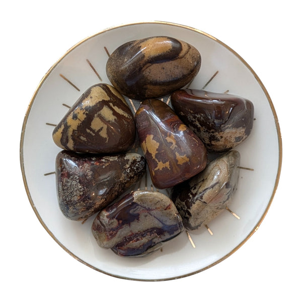Nguni Jasper Tumblestone - A Stone of Contrasts - Root Chakra - African Gemstones