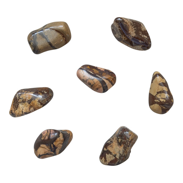 Nguni Jasper Tumblestone - A Stone of Contrasts - Root Chakra - African Gemstones