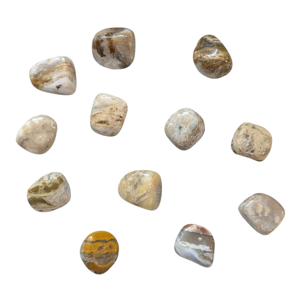 Ocean Jasper Crystal Tumblestone UK - Rare Gemstones - Collectors Stones - Healing Crystals