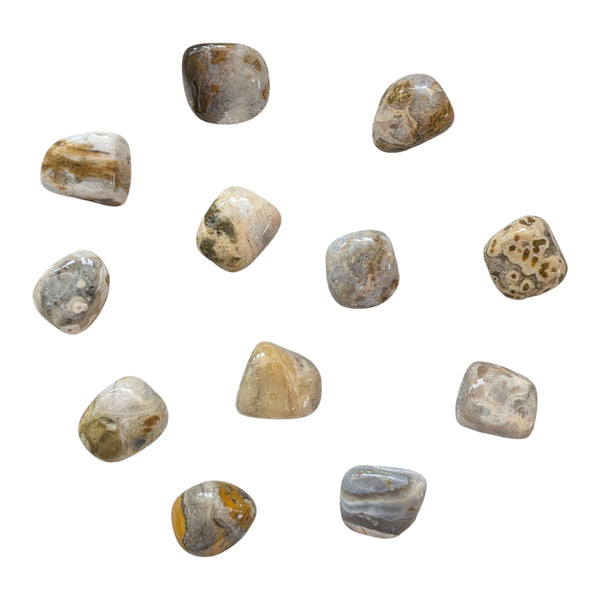 Ocean Jasper Crystal Tumblestone UK - Rare Gemstones - Collectors Stones - Healing Crystals
