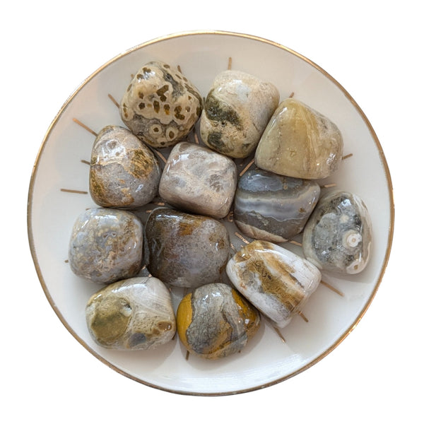 Ocean Jasper Crystal Tumblestone UK - Rare Gemstones - Collectors Stones - Healing Crystals