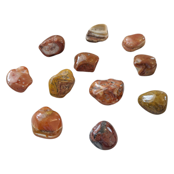 Petrified Wood Tumblestone - Fossil Stone - Calms Scattered Energies