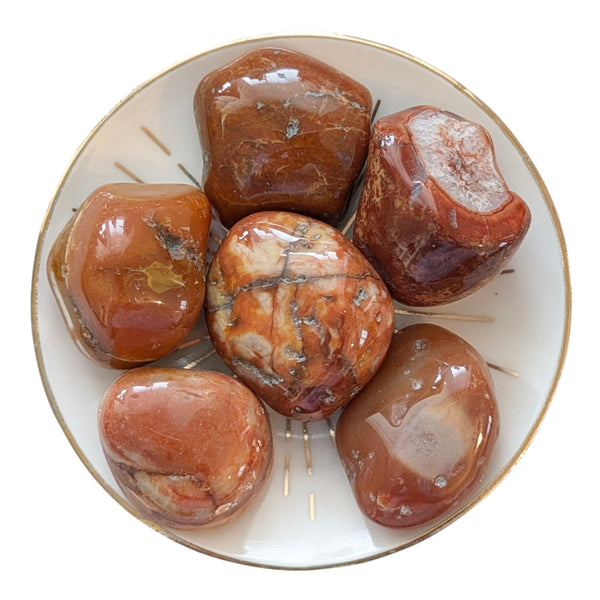 Petrified Wood Tumblestone - Fossil Stone - Calms Scattered Energies