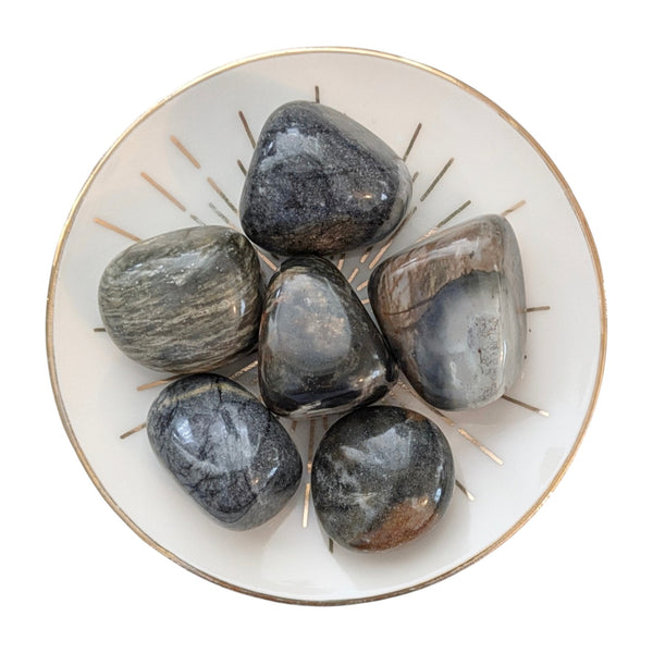 Picasso Jasper Tumblestone - Motivational Gemstone - Chakra Healing Gemstone
