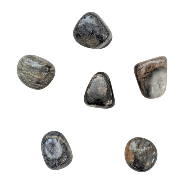 Picasso Jasper Tumblestone - Motivational Gemstone - Chakra Healing Gemstone