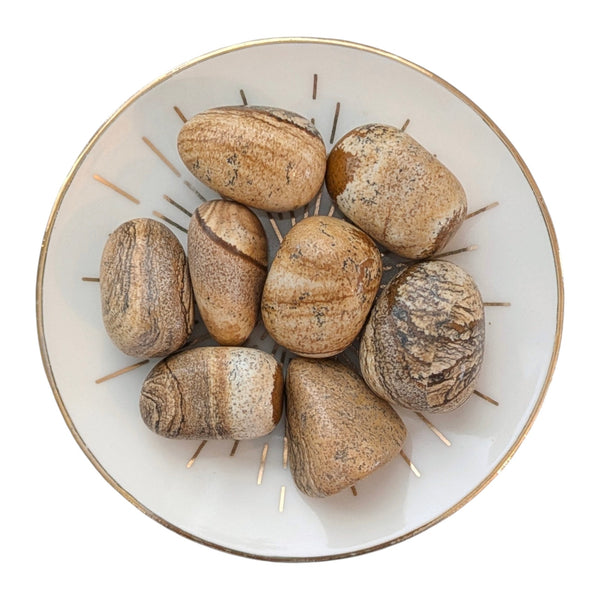 Picture Jasper Tumblestone - Nurturing & Protective Healing Crystal