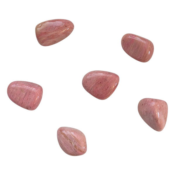 Pink Petrified Wood Tumblestone - Fossilized Wood Grounding Gemstone - Crystal Healing