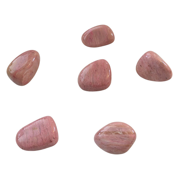 Pink Petrified Wood Tumblestone - Fossilized Wood Grounding Gemstone - Crystal Healing