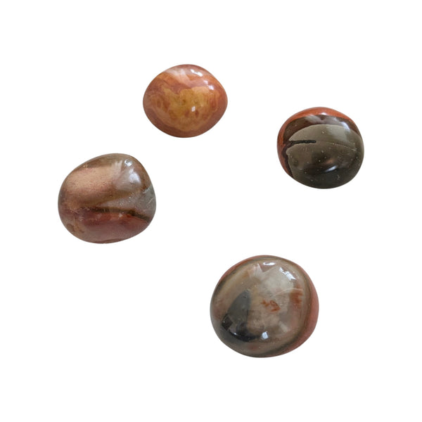 Polychromic Madagascan Jasper Tumblestone - Desert Jasper - Royal Savannah - Stone of Courage & Determination
