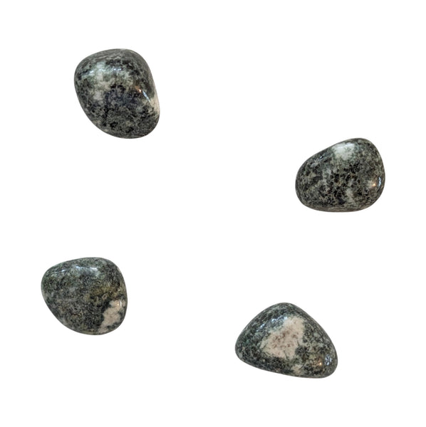Preseli Bluestone Tumblestone - Preseli Spotted Dolerite - A Transformative Gemstone from Wales