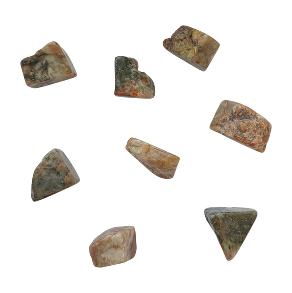Coprolite Tumblestone - Dinosaur Poo - Kids Fossil Gifts - Fossilised Poo - Symbol for Transformation