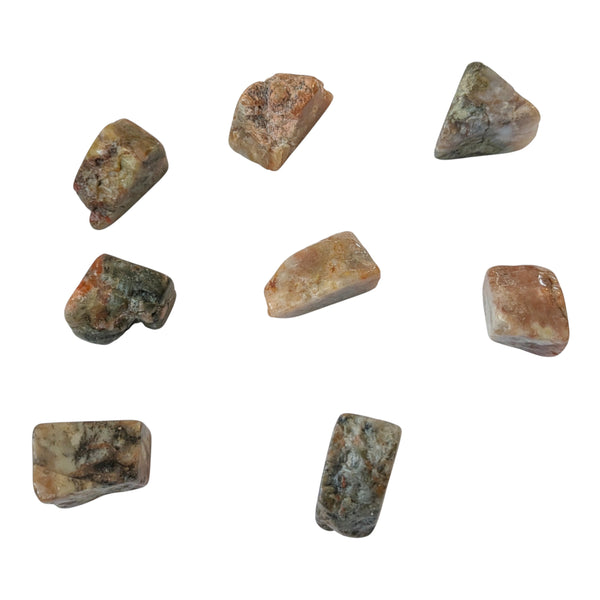 Coprolite Tumblestone - Dinosaur Poo - Kids Fossil Gifts - Fossilised Poo - Symbol for Transformation