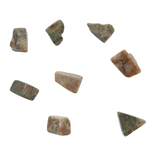Coprolite Tumblestone - Dinosaur Poo - Kids Fossil Gifts - Fossilised Poo - Symbol for Transformation