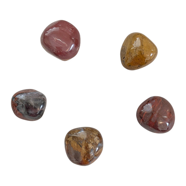 Petrified Wood Tumblestone - Fossil Stone - Root Chakra Healing crystal