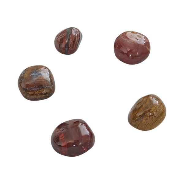 Petrified Wood Tumblestone - Fossil Stone - Root Chakra Healing crystal