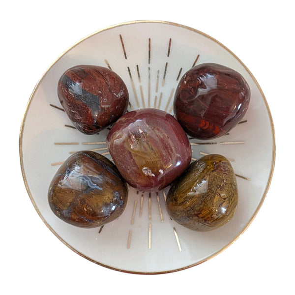 Petrified Wood Tumblestone - Fossil Stone - Root Chakra Healing crystal