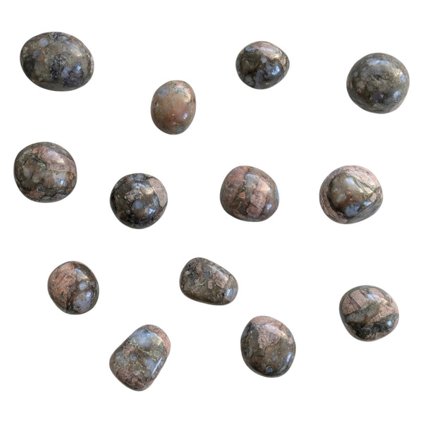 Que Sera Tumblestone - Rare Gemstone - Powerful Healing Crystal - Galaxy Rhyolite - Collectors Tumblestone