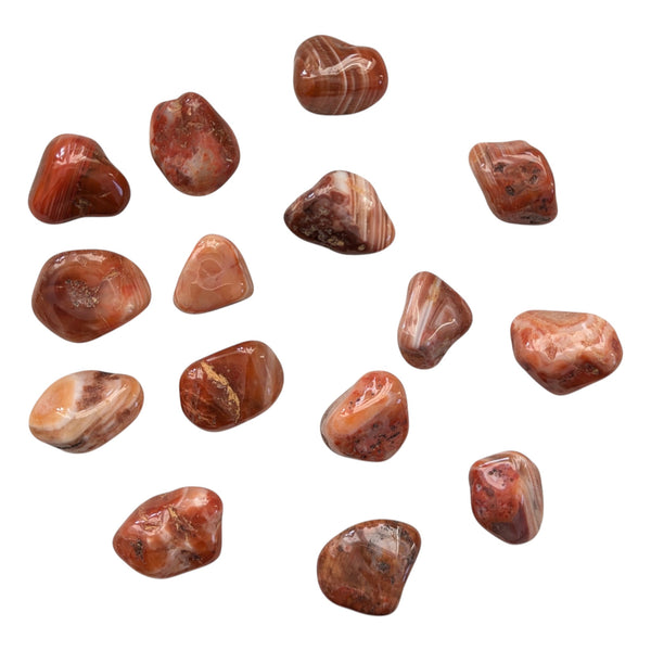 Sardonyx Crystal Tumblestone - Stability, Security & Integrity Gemstone - Stone for Leo