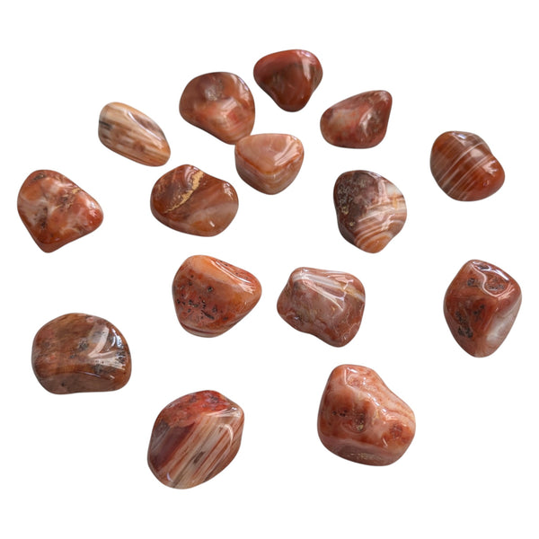 Sardonyx Crystal Tumblestone - Stability, Security & Integrity Gemstone - Stone for Leo
