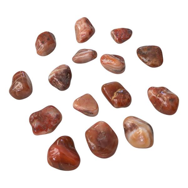 Sardonyx Crystal Tumblestone - Stability, Security & Integrity Gemstone - Stone for Leo
