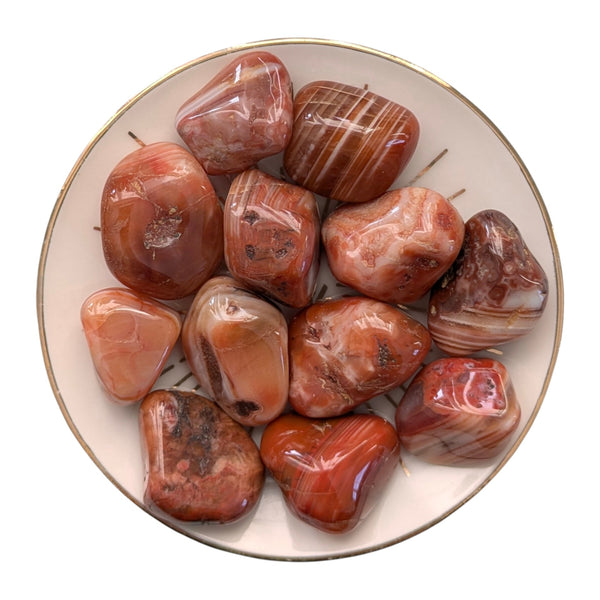 Sardonyx Crystal Tumblestone - Stability, Security & Integrity Gemstone - Stone for Leo