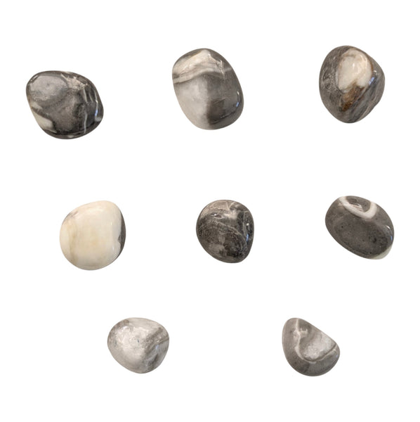 Shell Jasper Tumblestone