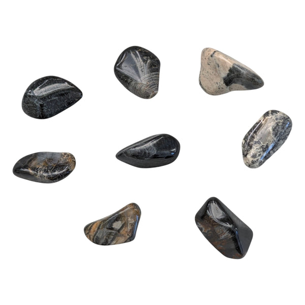 Silver Leaf Jasper Crystal Tumblestone - Stone of Wisdom - Root Chakra Gemstone