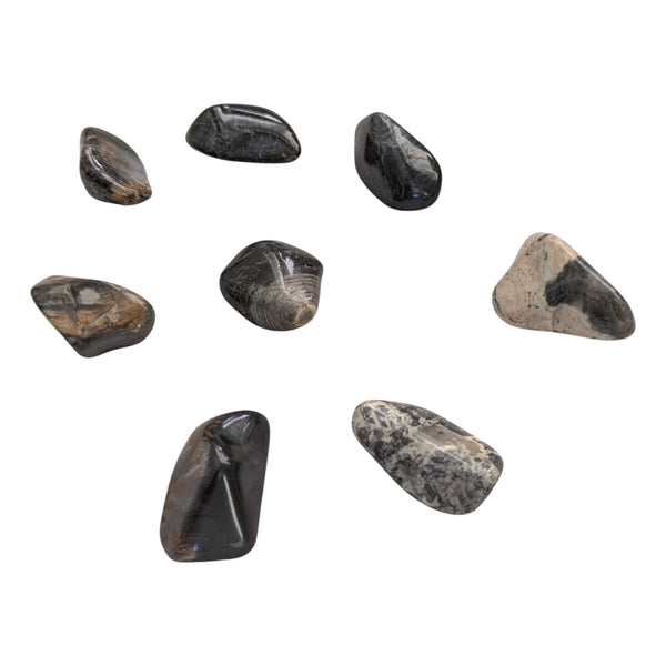 Silver Leaf Jasper Crystal Tumblestone - Stone of Wisdom - Root Chakra Gemstone