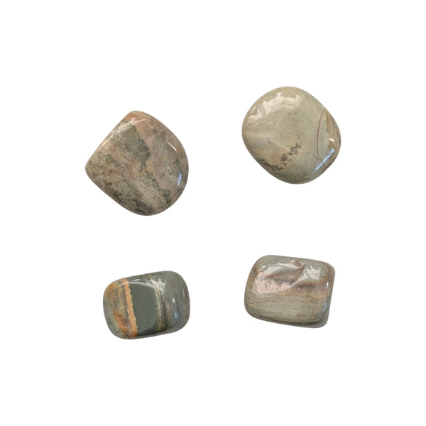 Silver Leaf Jasper (Light) Crystal  Tumblestone - Stone of Wisdom - Stability, Balance & Courage