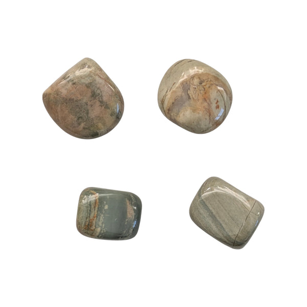 Silver Leaf Jasper (Light) Crystal  Tumblestone - Stone of Wisdom - Stability, Balance & Courage